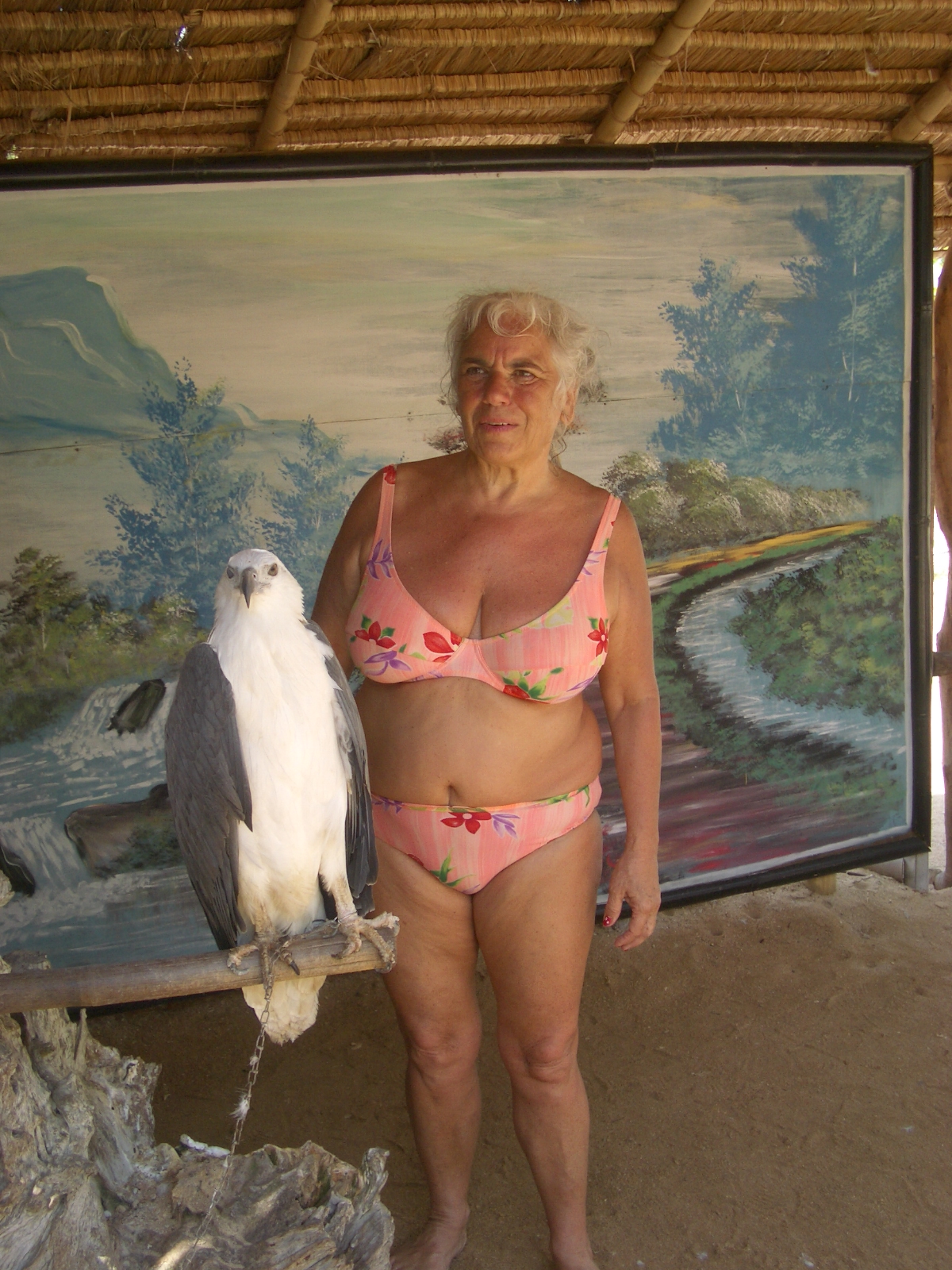 Drehen von IMGP1191.JPG